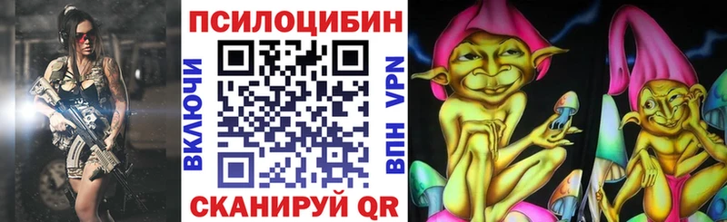 Псилоцибиновые грибы Psilocybe  Трубчевск 