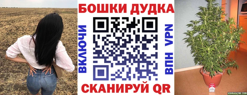 Марихуана сатива  Трубчевск 